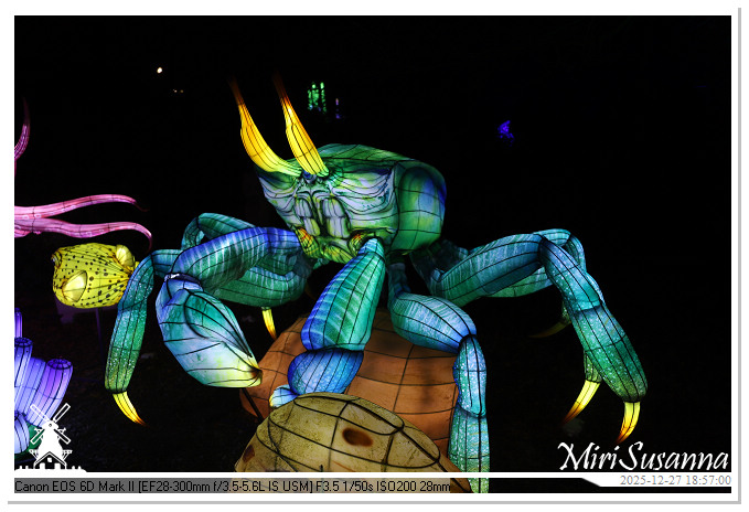 Ouwehand Light Night 2025 IMG_4290