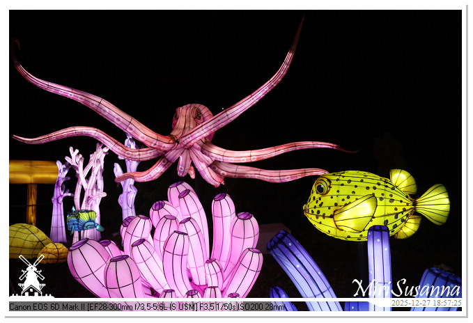 Ouwehand Light Night 2025 IMG_4292