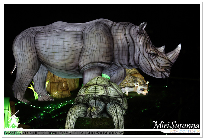 Ouwehand Light Night 2025 IMG_4296