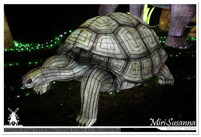 Ouwehand Light Night 2025 IMG_4297