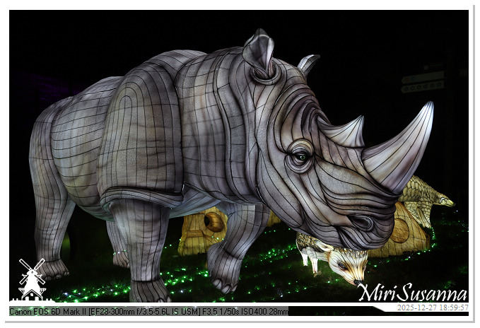 Ouwehand Light Night 2025 IMG_4298