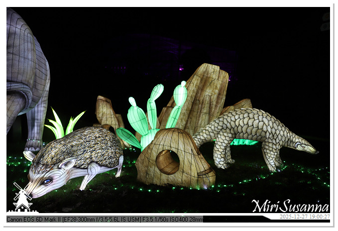 Ouwehand Light Night 2025 IMG_4301