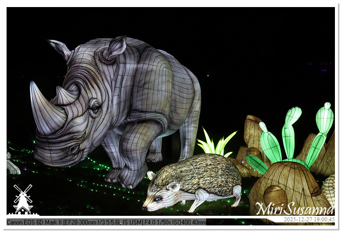 Ouwehand Light Night 2025 IMG_4302