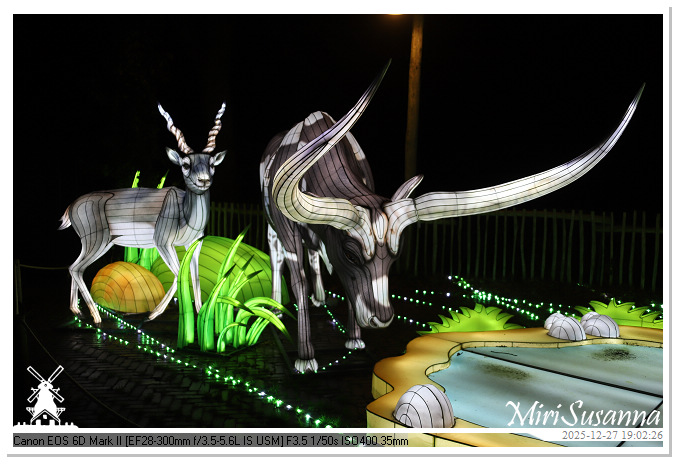 Ouwehand Light Night 2025 IMG_4305