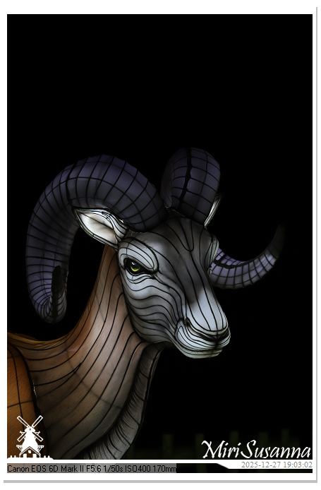 Ouwehand Light Night 2025 IMG_4308