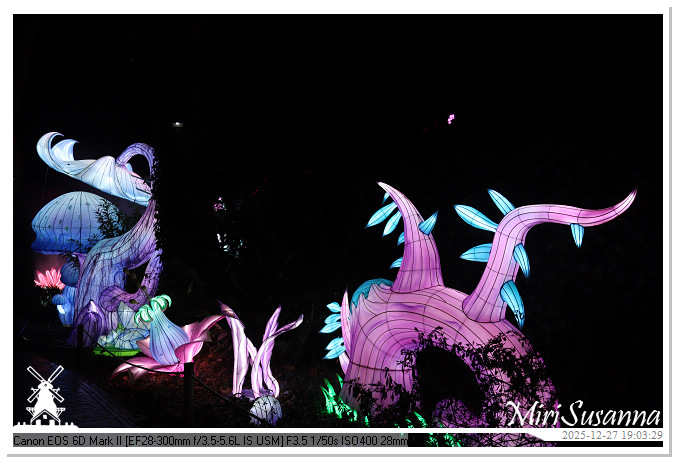 Ouwehand Light Night 2025 IMG_4309