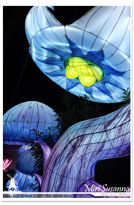 Ouwehand Light Night 2025 IMG_4310