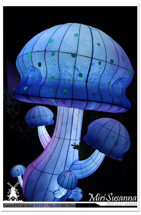 Ouwehand Light Night 2025 IMG_4311