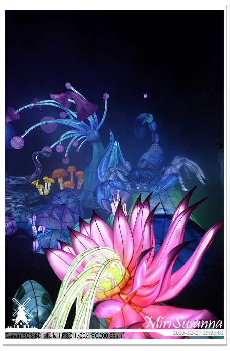 Ouwehand Light Night 2025 IMG_4315