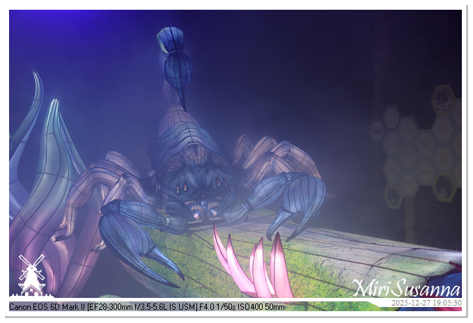 Ouwehand Light Night 2025 IMG_4316