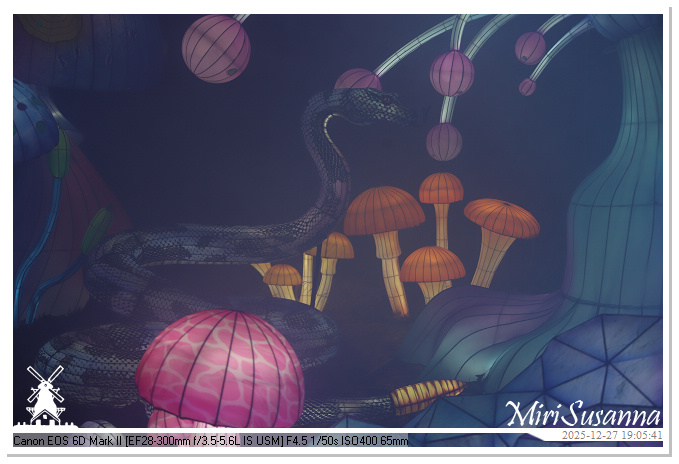 Ouwehand Light Night 2025 IMG_4317