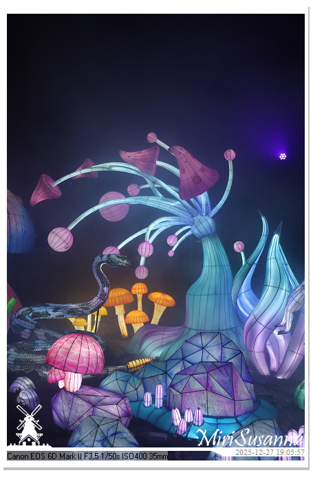 Ouwehand Light Night 2025 IMG_4318