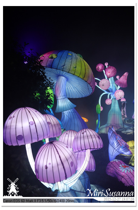 Ouwehand Light Night 2025 IMG_4321