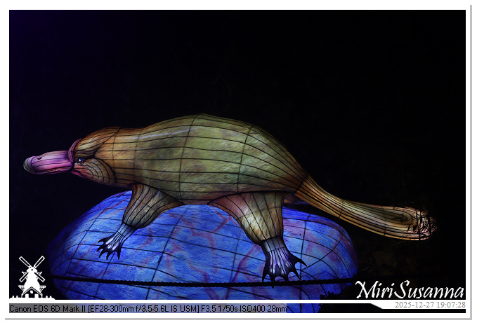 Ouwehand Light Night 2025 IMG_4322