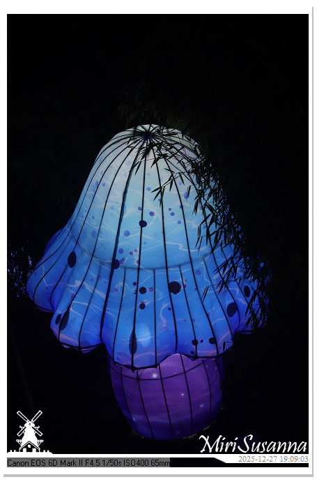 Ouwehand Light Night 2025 IMG_4328