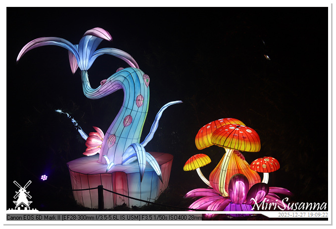 Ouwehand Light Night 2025 IMG_4329