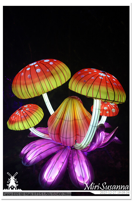 Ouwehand Light Night 2025 IMG_4330