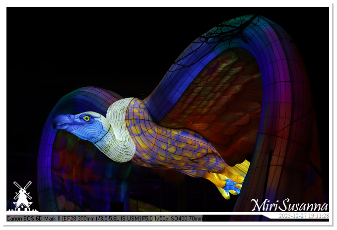 Ouwehand Light Night 2025 IMG_4334