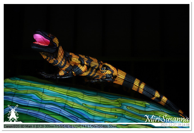 Ouwehand Light Night 2025 IMG_4340