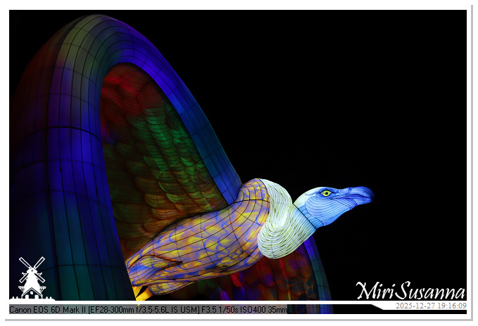 Ouwehand Light Night 2025 IMG_4343