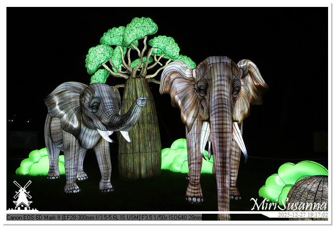 Ouwehand Light Night 2025 IMG_4345