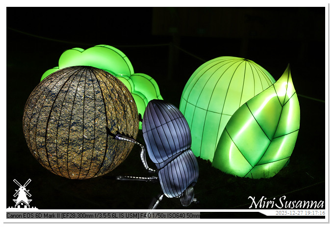 Ouwehand Light Night 2025 IMG_4346