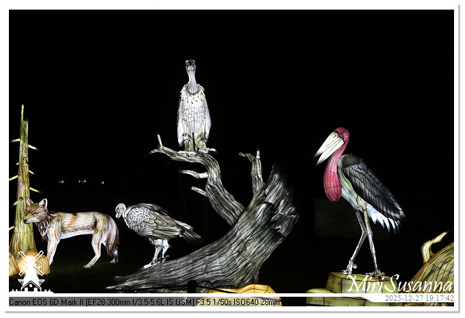 Ouwehand Light Night 2025 IMG_4347