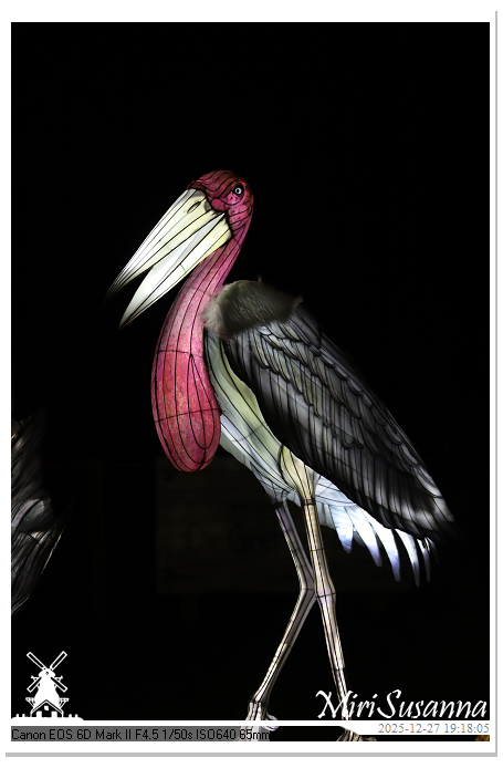 Ouwehand Light Night 2025 IMG_4349