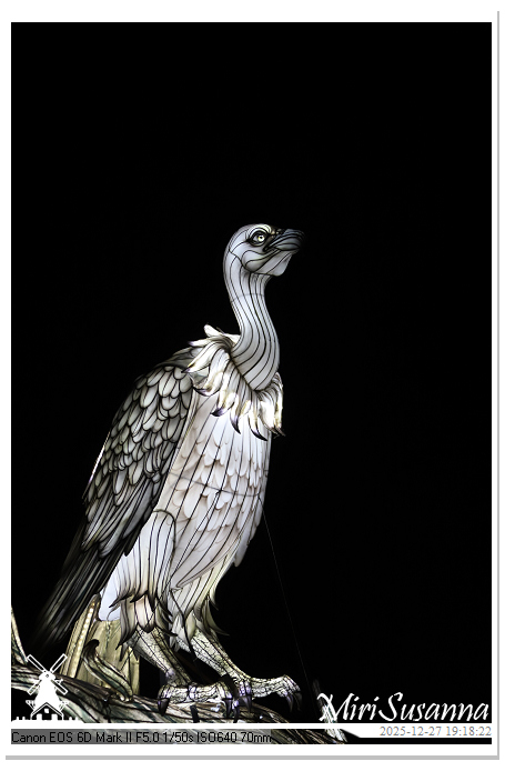 Ouwehand Light Night 2025 IMG_4350