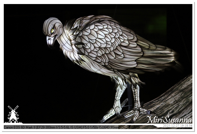 Ouwehand Light Night 2025 IMG_4351