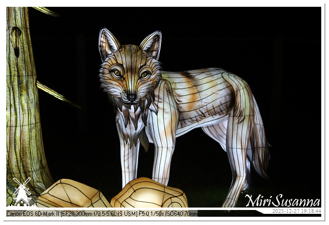 Ouwehand Light Night 2025 IMG_4352