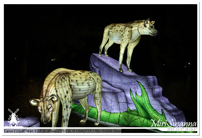 Ouwehand Light Night 2025 IMG_4353