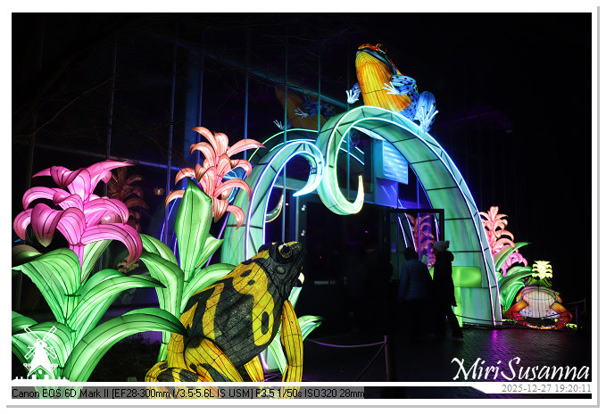 Ouwehand Light Night 2025 IMG_4357