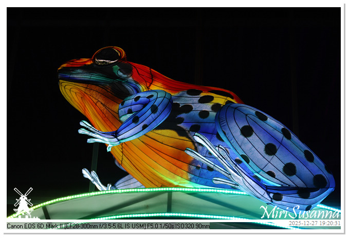 Ouwehand Light Night 2025 IMG_4358