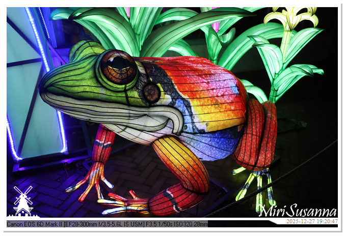 Ouwehand Light Night 2025 IMG_4359