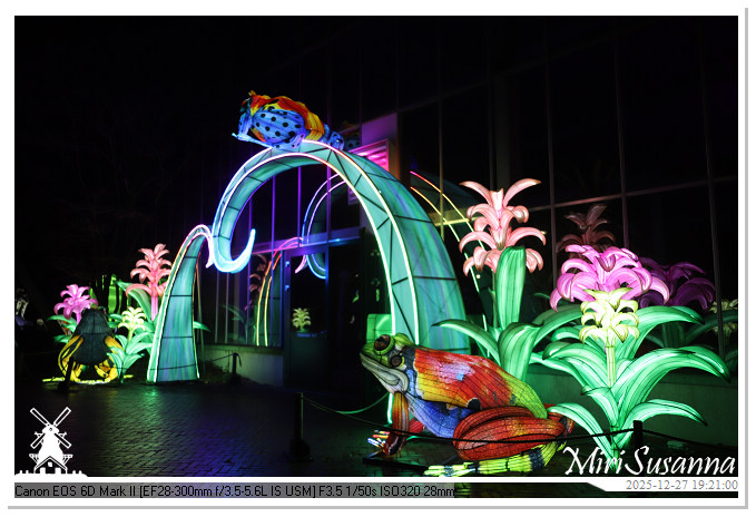 Ouwehand Light Night 2025 IMG_4360