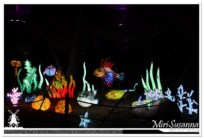 Ouwehand Light Night 2025 IMG_4362