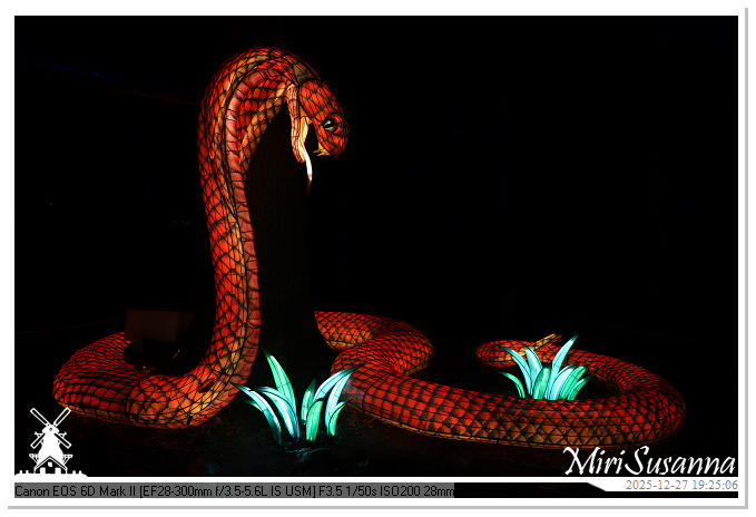 Ouwehand Light Night 2025 IMG_4365