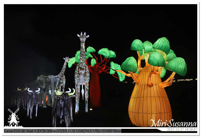 Ouwehand Light Night 2025 IMG_4367