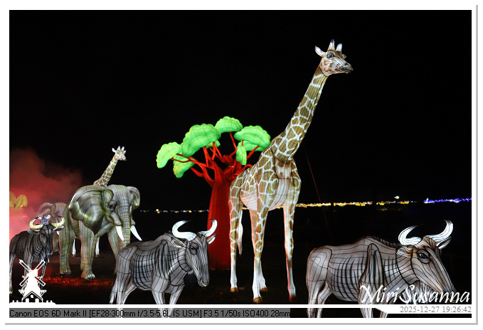 Ouwehand Light Night 2025 IMG_4369