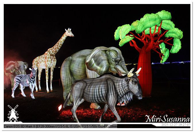 Ouwehand Light Night 2025 IMG_4370