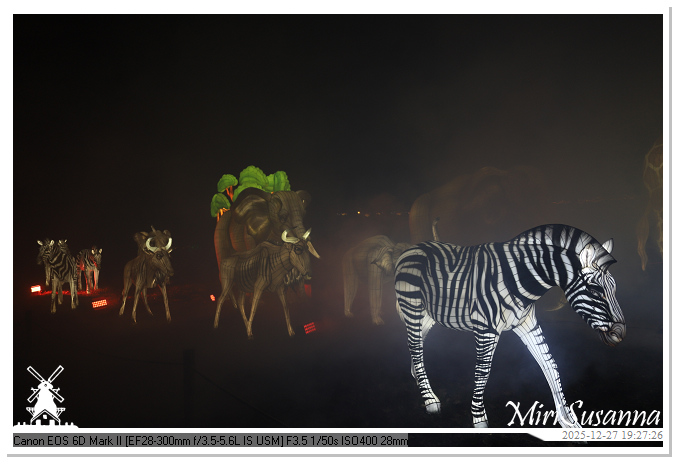 Ouwehand Light Night 2025 IMG_4371