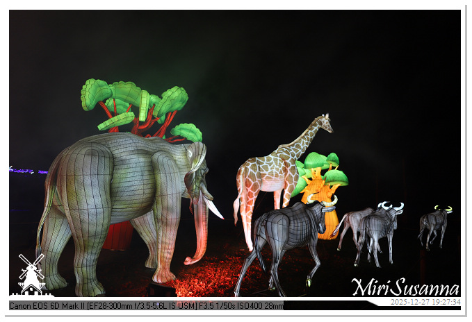 Ouwehand Light Night 2025 IMG_4372