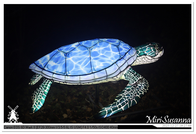 Ouwehand Light Night 2025 IMG_4373