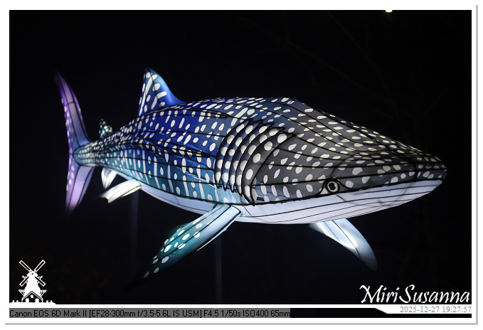 Ouwehand Light Night 2025 IMG_4374