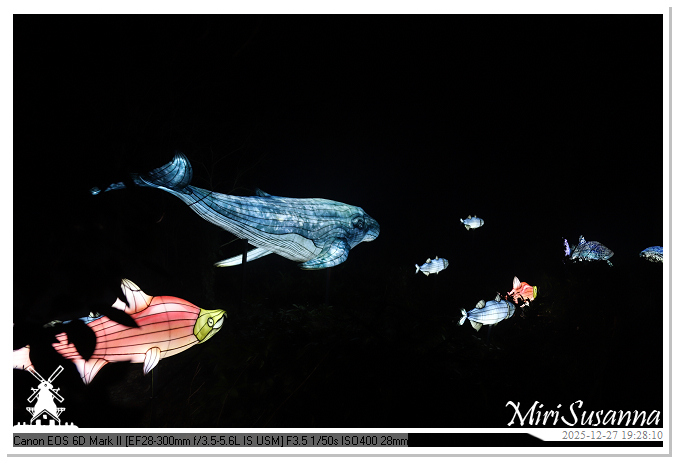 Ouwehand Light Night 2025 IMG_4375