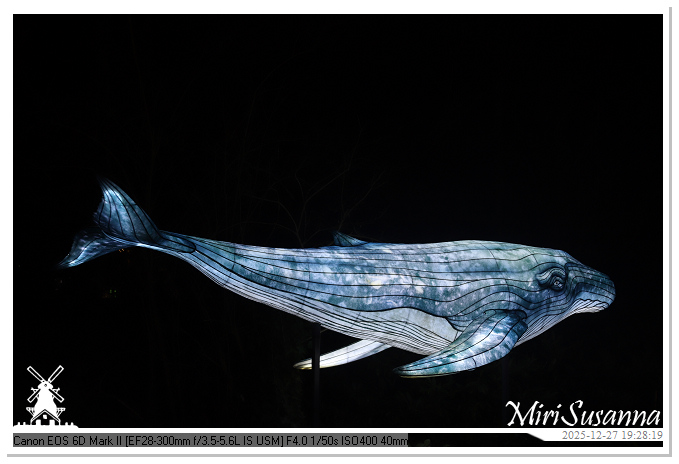 Ouwehand Light Night 2025 IMG_4376