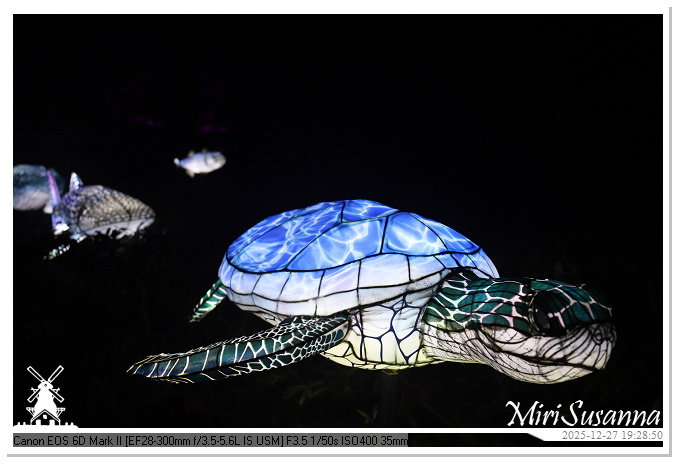 Ouwehand Light Night 2025 IMG_4377