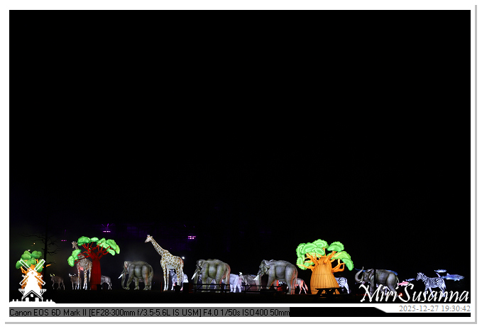 Ouwehand Light Night 2025 IMG_4381