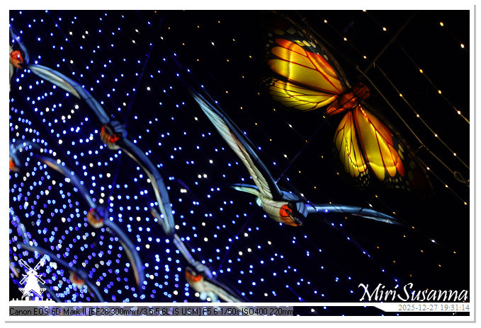 Ouwehand Light Night 2025 IMG_4382